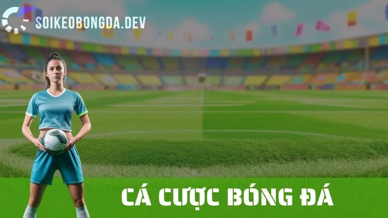 Cá Cược Bóng Đá: Những Điều Cơ Bản Cần Biết Cho Người Mới Bắt Đầu 1 Cá Cược Bóng Đá: Những Điều Cơ Bản Cần Biết Cho Người Mới Bắt Đầu